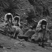 The Abominable Snowmen