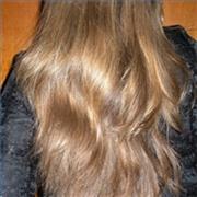 Long and Silky Shampoo