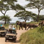 Jeep Safari in Africa
