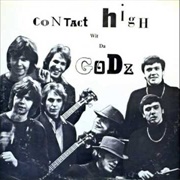 Sticking Wings on Flies - The Godz