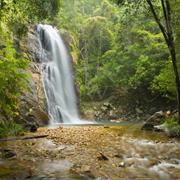 Willi Willi National Park (NSW)