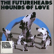 The Futureheads - Hounds of Love