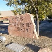 Natural History Museum