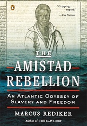 The Amistad Rebellion: An Atlantic Odyssey of Slavery and Freedom (Marcus Rediker)