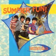 Summer Fun - The Barracudas