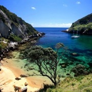 Great Barrier Island, New Zealand