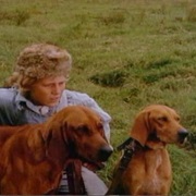 Old Dan & Little Ann