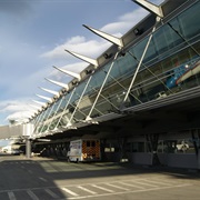 Aeropuerto De El Calafate