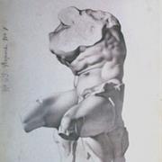 Academy Study Torso