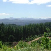 L.L. Stub Stewart State Park, Oregon