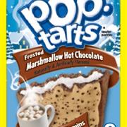 Marshmellow Hot Chocolate Poptarts