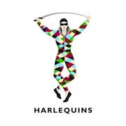 Harlequins