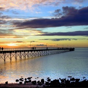 Ceduna