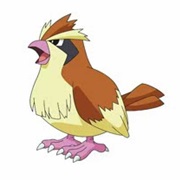 Pidgey