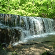 Nerstrand Big Woods State Park, Minnesota