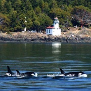 Lime Kiln Point State Park