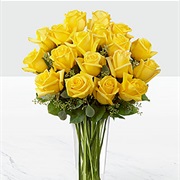 Yellow Roses