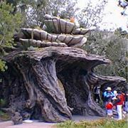 Ariel's Grotto (1998-2008)