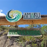 Zoo & Biopark Amaru in Cuenca