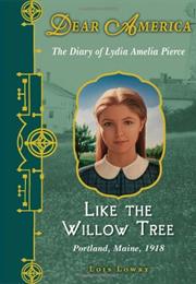 Like the Willow Tree