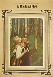 Brzezina