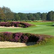 Walton Heath (Old) England