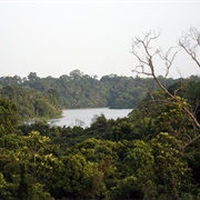 Central Catchment Nature Reserve
