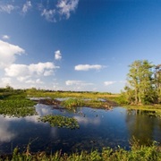 Arthur R. Marshall Loxahatchee National Wildlife Refuge