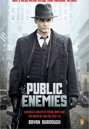 Public Enemies