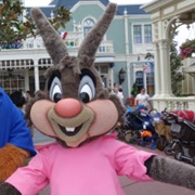 Brer Rabbit