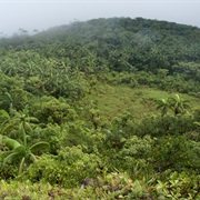 Micronesia: Nanlaud (2,566 Ft)