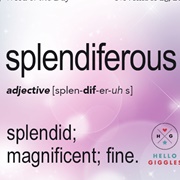 Splendiferous