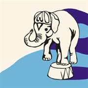 Jeff Mangum - Live at Jittery Joe's