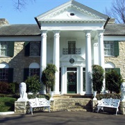 Rock 'N' Roll (Graceland, Memphis, TN)