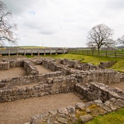 Binchester Roman Fort