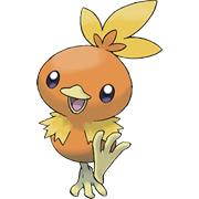 Torchic