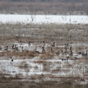 Flint Hills National Wildlife Refuge