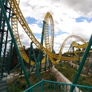 Eurofighter (Zoosafari Fasanolandia, Italy)