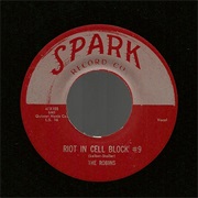 The Robins, Riot in Cell Block No. 9