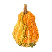 Gourds