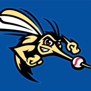 Sugar Land Skeeters (IND)