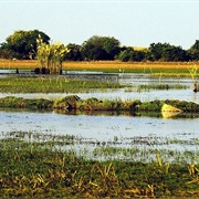 Bangweulu Wetlands, Zambia