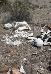 In the Nuclear Shadow: What Can the Children Tell Us? (1983)