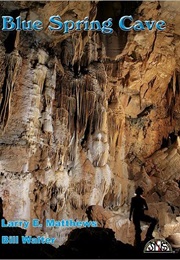 Blue Springs Cave (Larry E. Matthews and Bill Walter and G. Tom Rea)