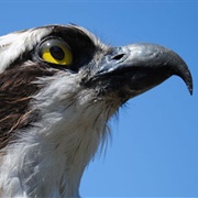 Stechlin Ruppiner Land Nature Park, Germany