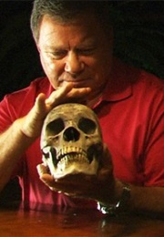 Weird or What (2010)