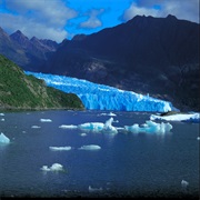 Laguna San Rafael, Chile
