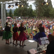 Go See Concerts in the Park