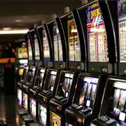 Play Bingo and Slots for Prizes