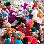 Own Complete Collections